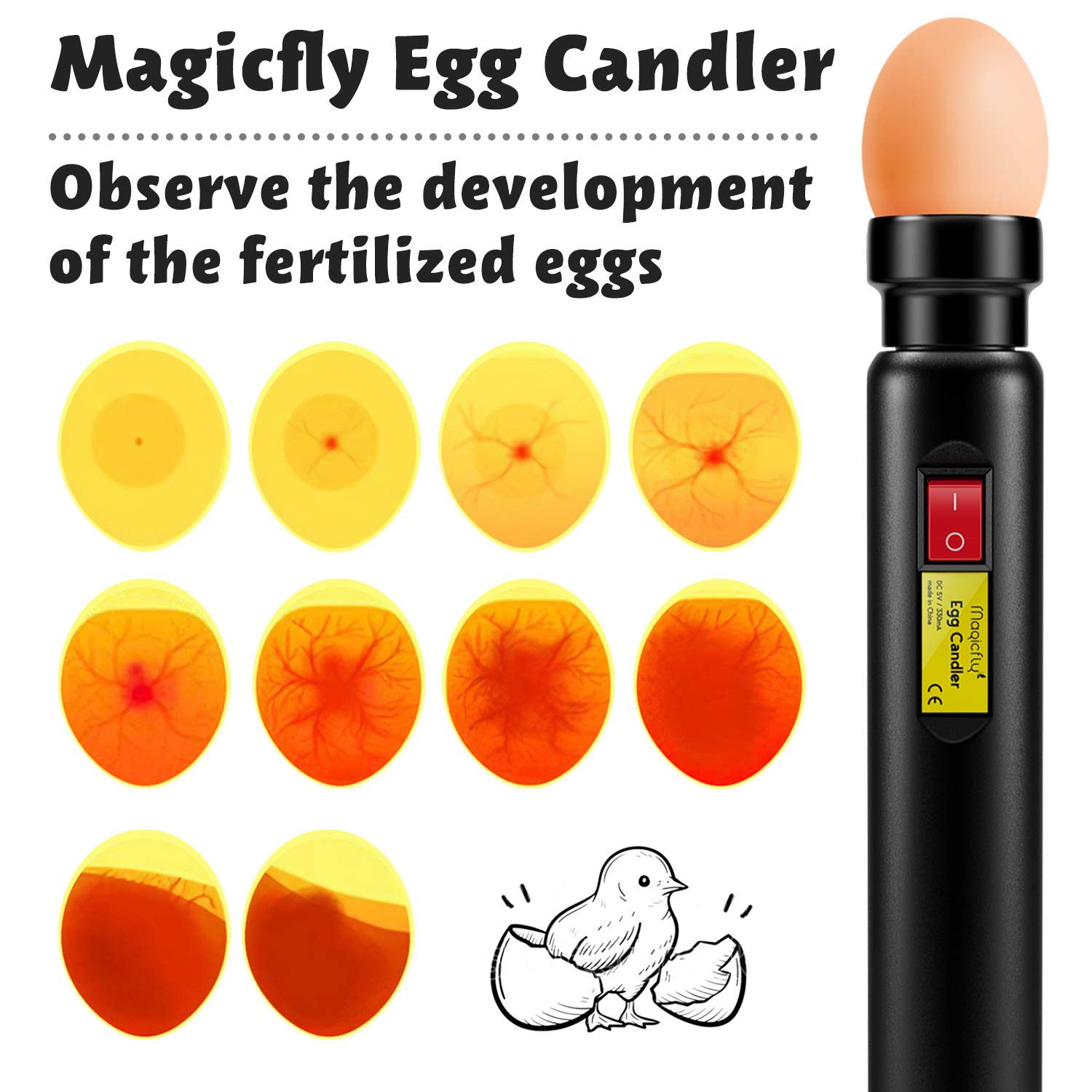 Magicfly Rechargeable Egg Candler Tester - Bright LED Candling Lamp for Monitoring Egg Development, Hatching & Fertility Testing | Perfect for Chicken, Duck, Quail & Bird Eggs | Ideal for Poultry Farmers, Hobbyists & Egg Incubation