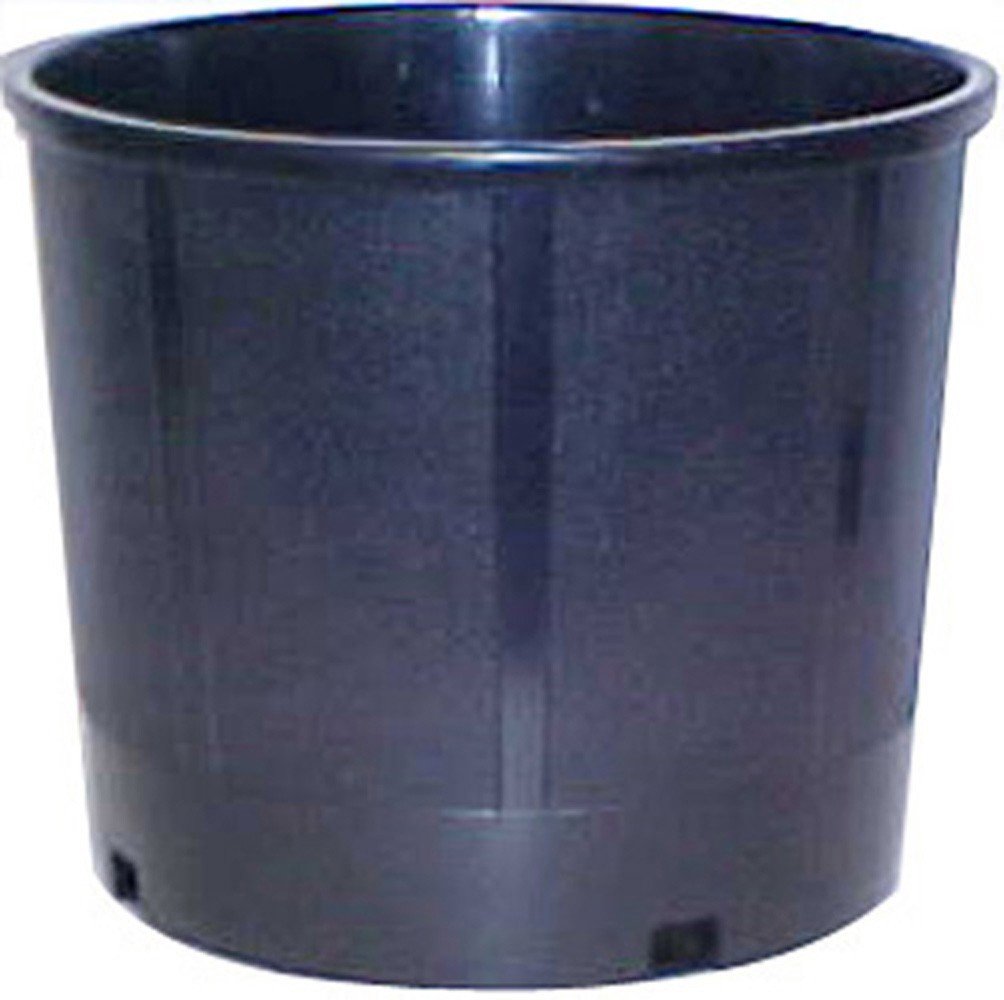 5 Gallon Black Nursery Container - 13.25 Inch Plant Pot for Trees, Shrubs & Flowers | Perfect for Gardening, Landscaping & Outdoor Planting