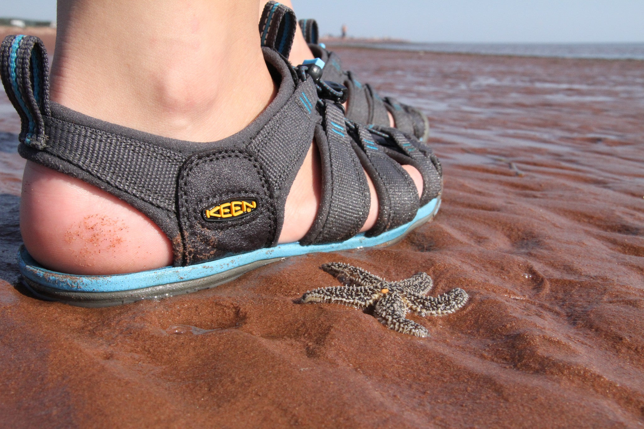 KEEN Men's Clearwater CNX Water Sandals - Lightweight Hiking & Outdoor Adventure Shoes for Beach, Trail, and Travel - Comfortable & Durable for Walking, Camping, and Water Activities