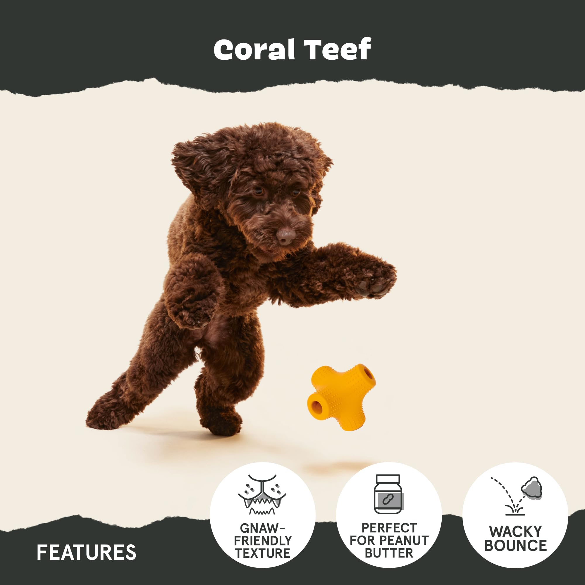 BARK Coral Teef Dog Toy - Durable Chew Toy for Aggressive Chewers | Wacky Bounce Design | Interactive Play & Dental Health | Perfect for Large Dogs & Strong Chewers | Indoor & Outdoor Use