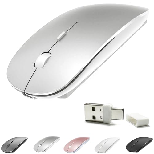 BT/USB-C Silver