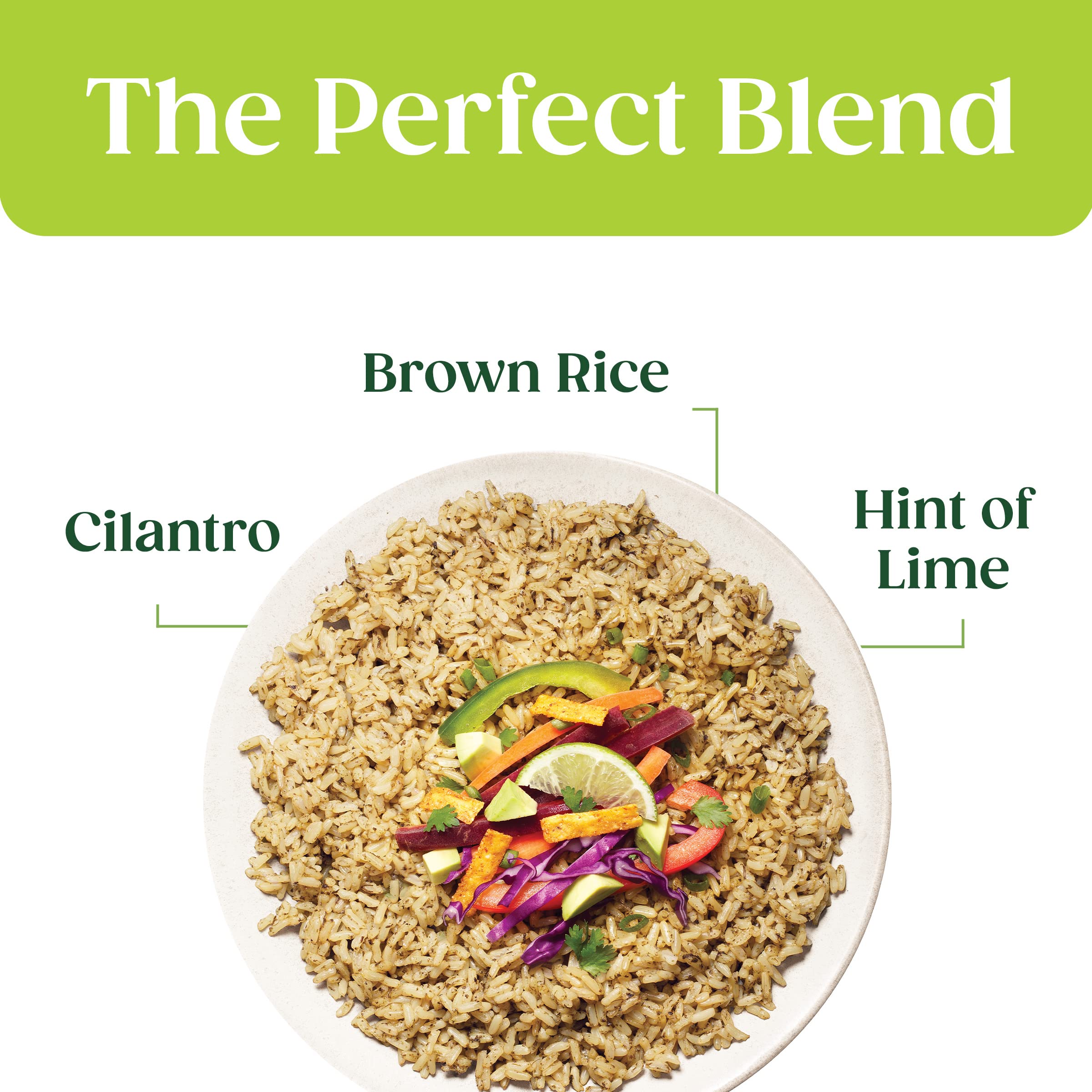 Organic Brown Jasmine Rice with Cilantro Lime - USDA Certified, Non-GMO, Gluten-Free (8.5oz Pouch) - Perfect for Meal Prep, Healthy Side Dishes & Vegan Recipes