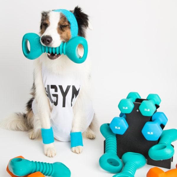 Durable Flexible Rubber Dog Chew Toy - ZippyTuff Dumbbell for Aggressive Chewers, Puppy Teething & Interactive Playtime