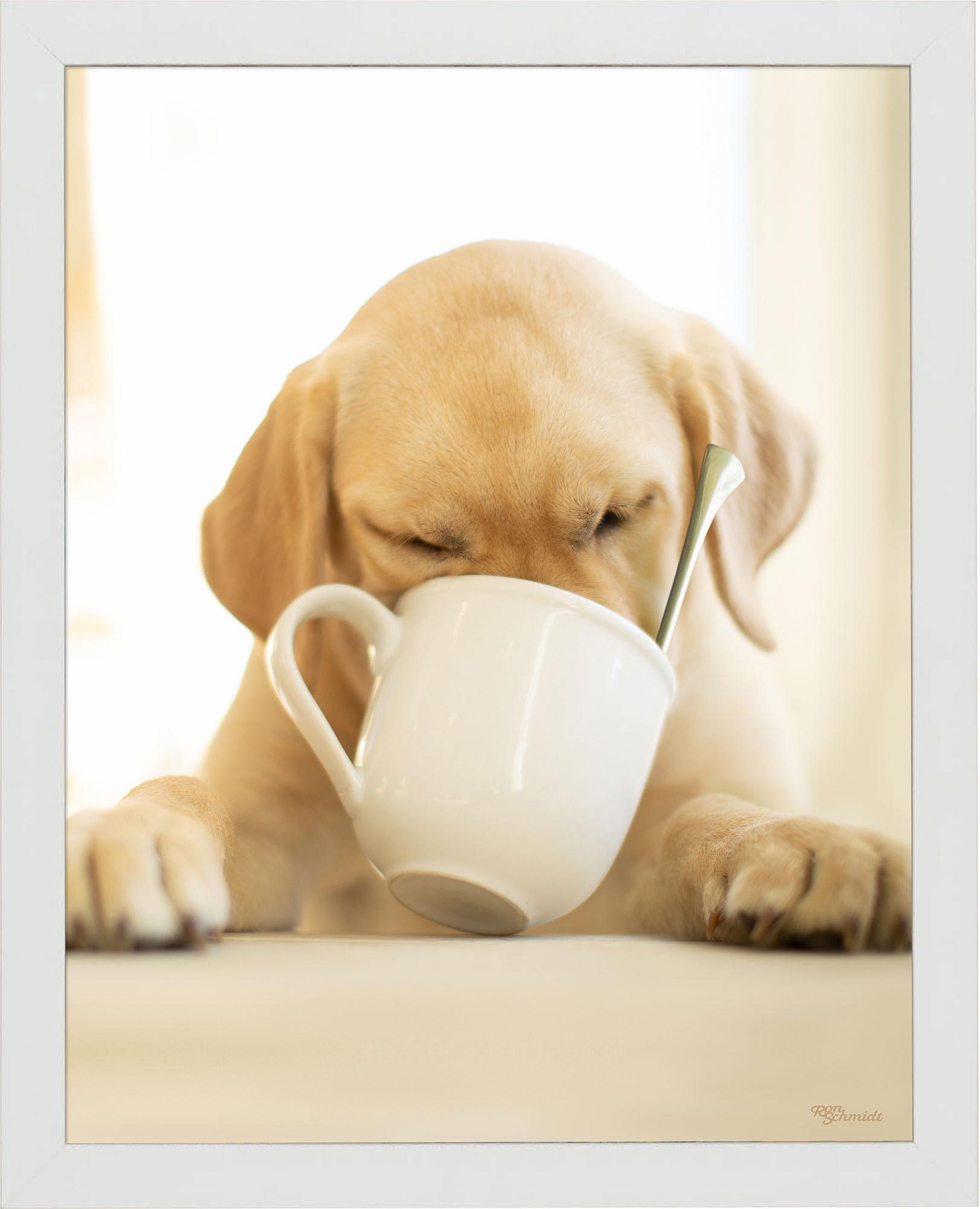 Premium Coffee Mug with Unique Art Prints - Perfect for Home, Office & Gifts | Ceramic Travel Mug for Coffee & Tea Lovers
