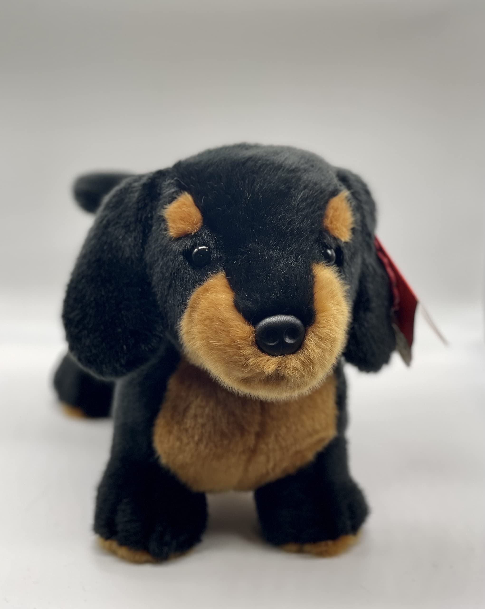 Keel Toys Dachshund SD0523 Saucisse 32 cm Plush Dog - Cute Stuffed Animal Toy for Kids, Gifts & Collectibles | Perfect for Playtime, Nursery Decor & Dachshund Lovers