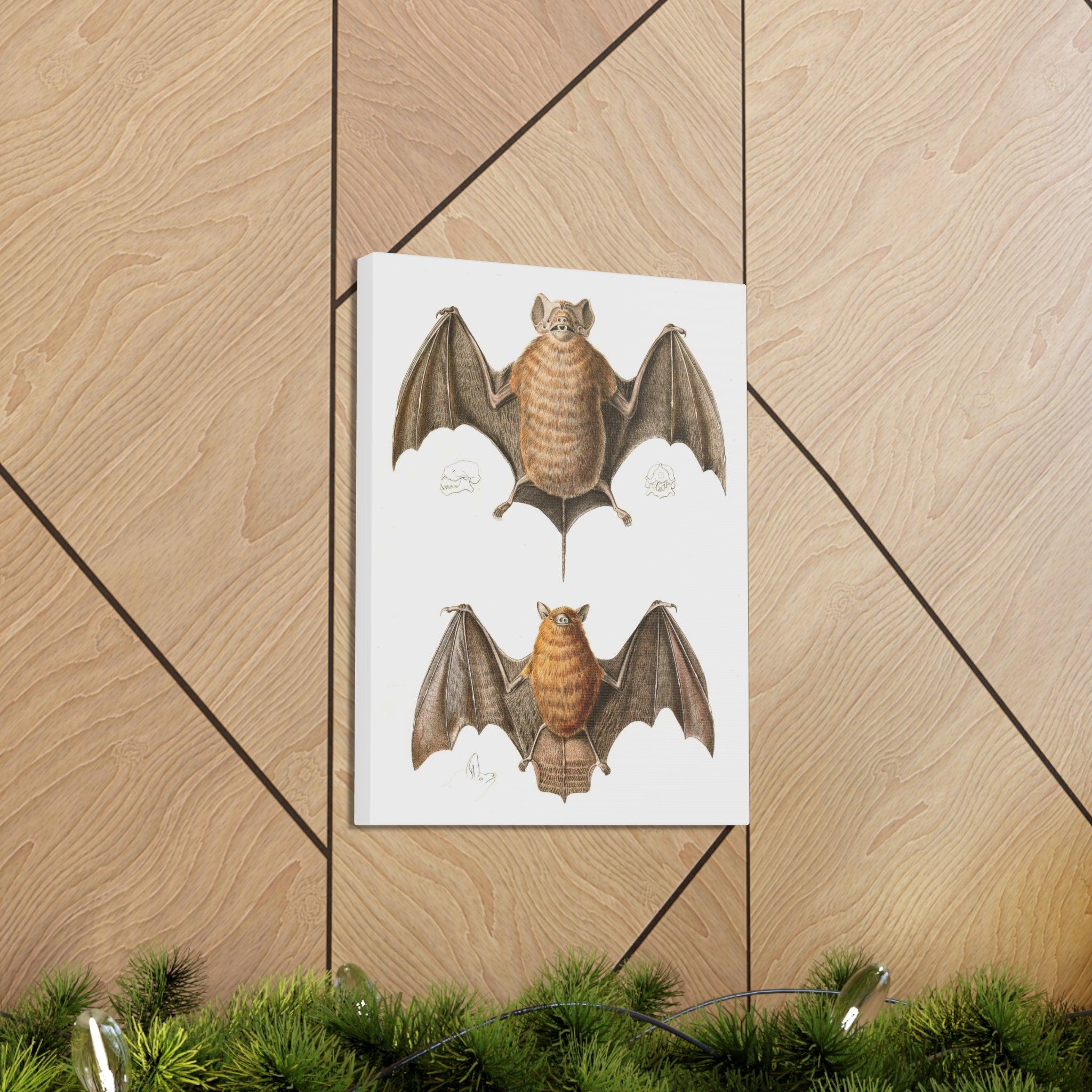 Free Tailed Bats Wall Art - Stunning Wildlife Illustration Canvas Print for Home & Office Decor - Perfect for Nature Lovers, Bat Enthusiasts, and Gothic Interior Design