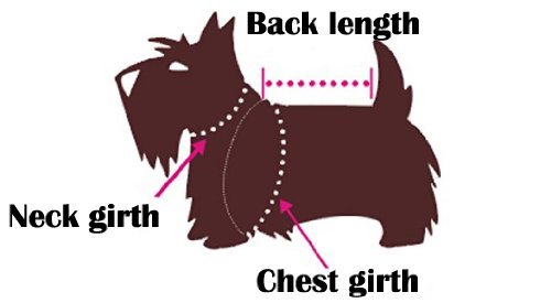 PetParty® Soft & Cozy Dog Jumpsuit - Warm Hoodie Coat for Small Medium Large Dogs - Perfect for Winter Walks, Outdoor Adventures & Photo Shoots