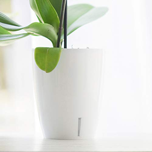 Santino 4.9 Inch Self Watering Orchid Pot in Lavender - Decorative Wicking Planter with Aeration, Drainage & Water Level Indicator - Perfect for Indoor Plants, Home Decor, and Office Spaces
