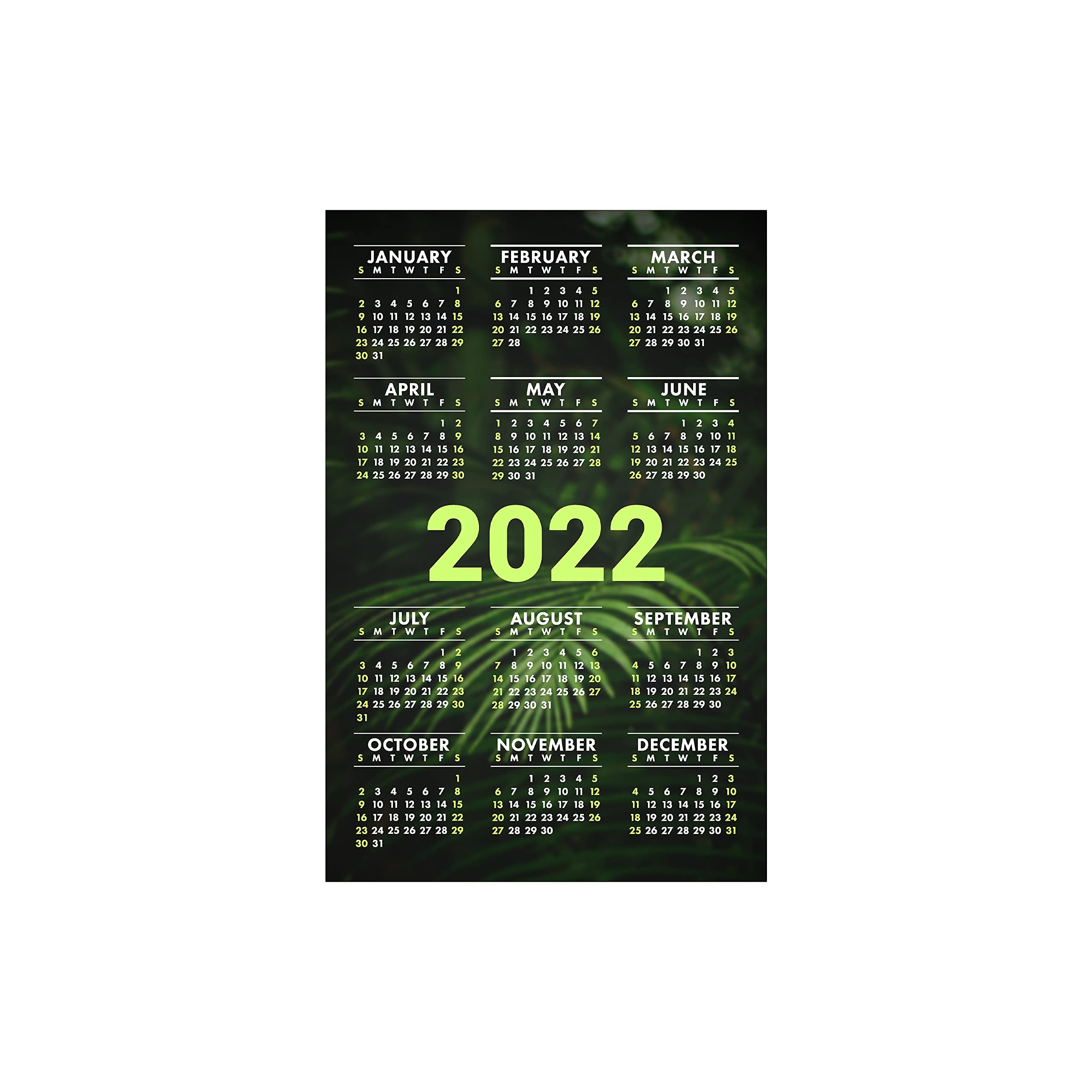 BANNER BUZZ 2022 Yearly Vertical Wall Calendar - Nature Themed Poster Calendar from Jan to Dec 2022, 11.5