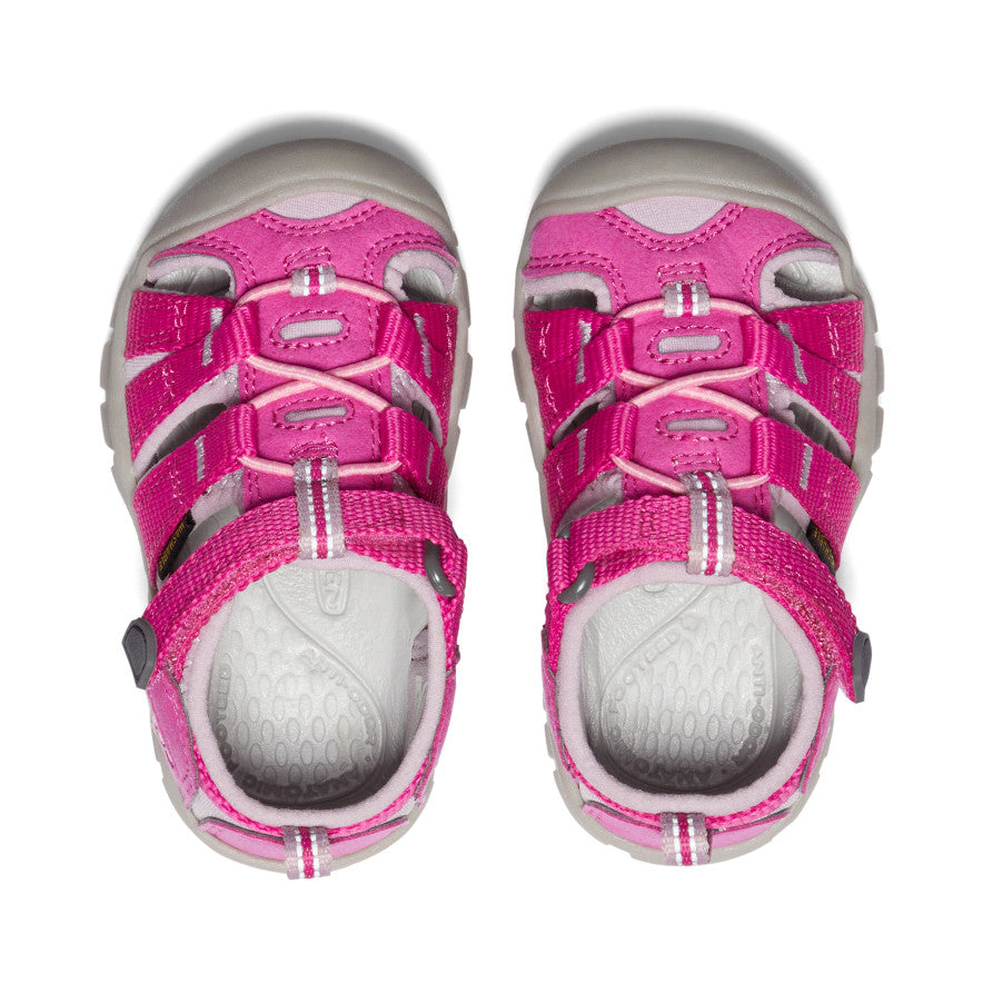 Toddlers' Seacamp II CNX Water Shoes - Very Berry/Dawn Pink - Lightweight & Non-Slip for Beach, Pool & Outdoor Play
