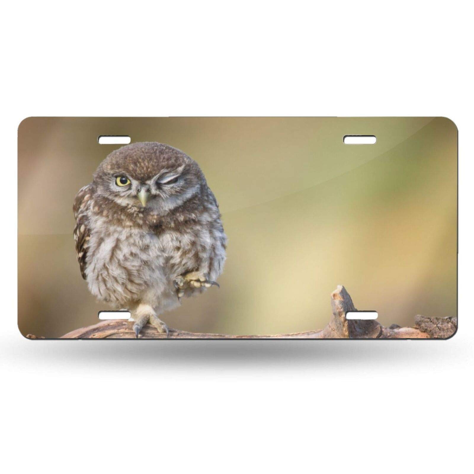 Little Owl Decorative Car Front License Plate - 6x12 Inch Novelty Aluminum Vanity Tag for Men, Women, Girls & Boys | Custom Vehicle Accessories for Cars, Trucks & SUVs | Perfect Gift for Car Enthusiasts & Animal Lovers