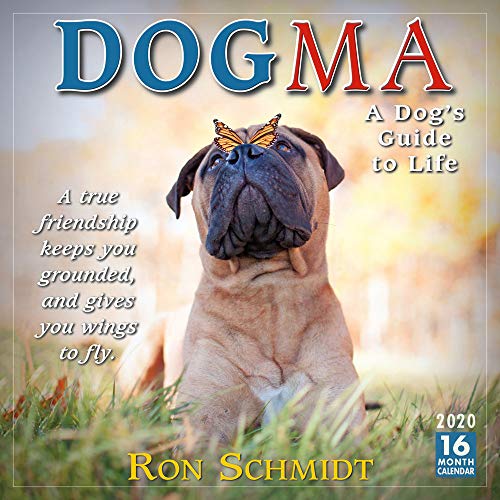 Dogma