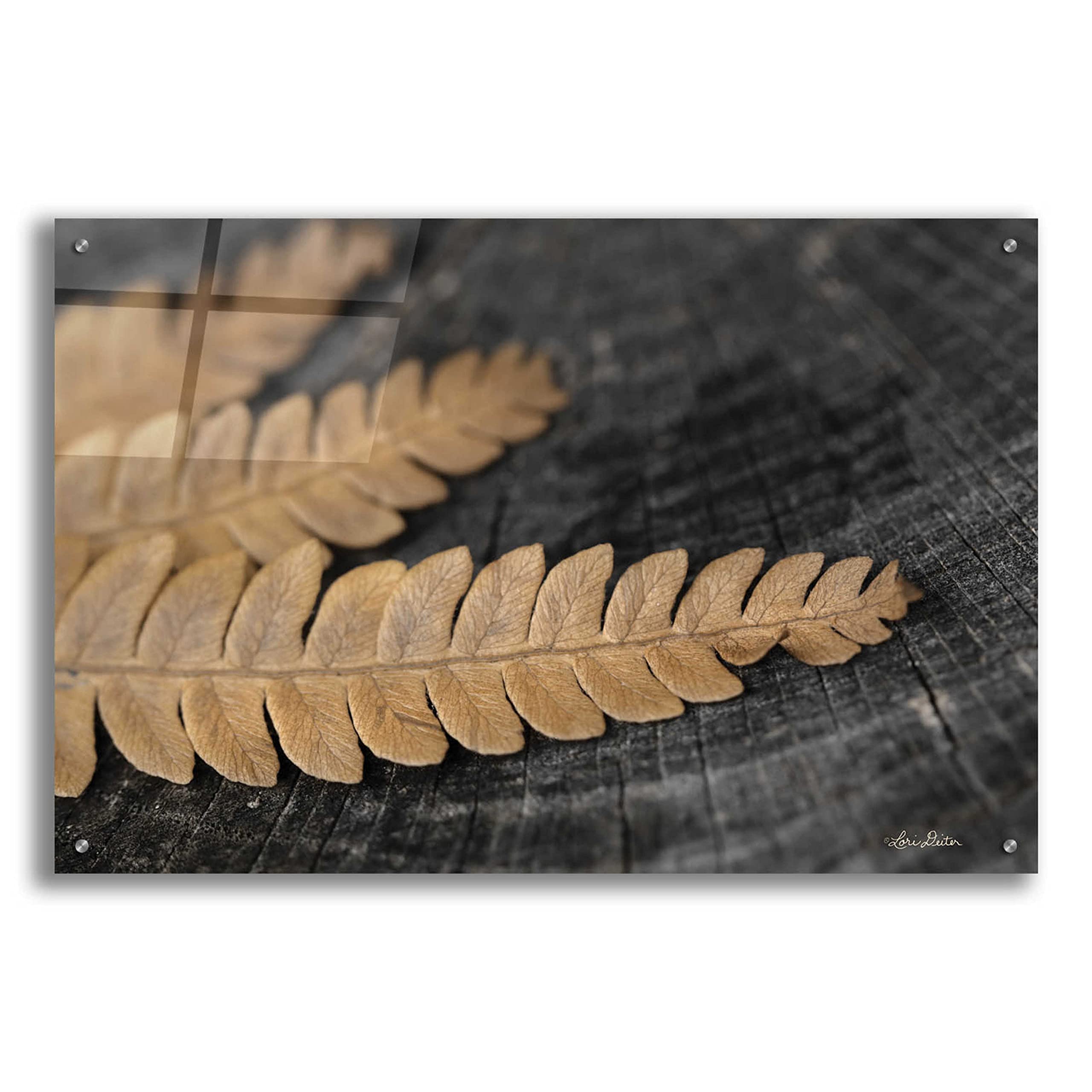 Gold on Black V Acrylic Glass Wall Art by Lori Deiter - 36x24 Inches Modern Abstract Painting for Living Room, Bedroom & Office Decor