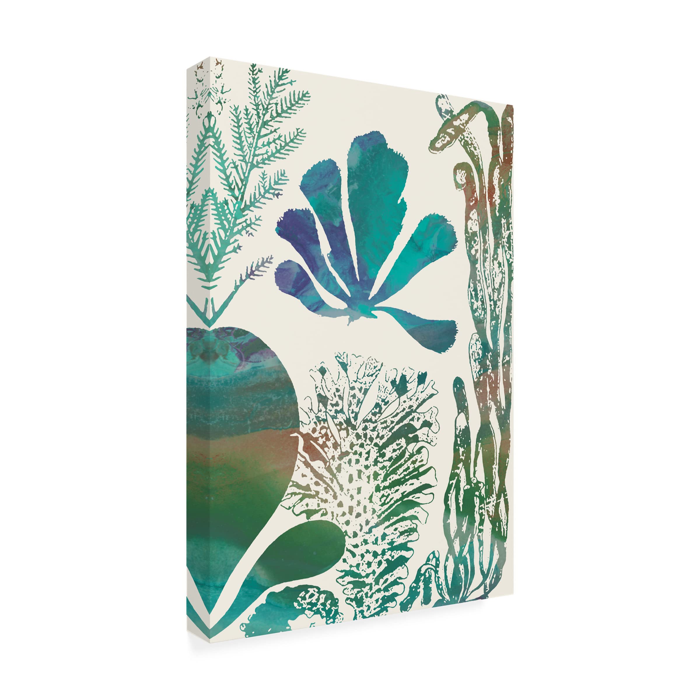 Trademark Fine Art 'Aquatic Assemblage I' Canvas Wall Art by Sharon Chandler - Perfect for Living Room, Bedroom & Office Decor