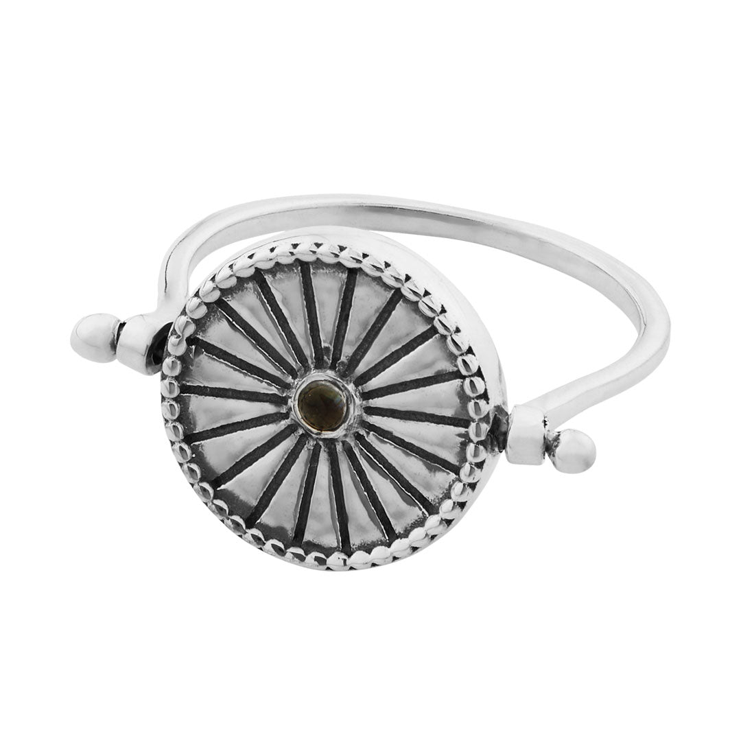 Hidden Zodiac Ring - Unique Astrology Jewelry for Women & Men - Perfect for Birthdays, Anniversaries & Spiritual Gifts