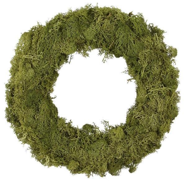 Handmade Natural Preserved Moss Wreath - Green Decorative Wall or Front Door Hanging - 7 Inch Diameter Eco-Friendly Home Decor - Perfect for Christmas, Fall, Wedding & Indoor/Outdoor Décor