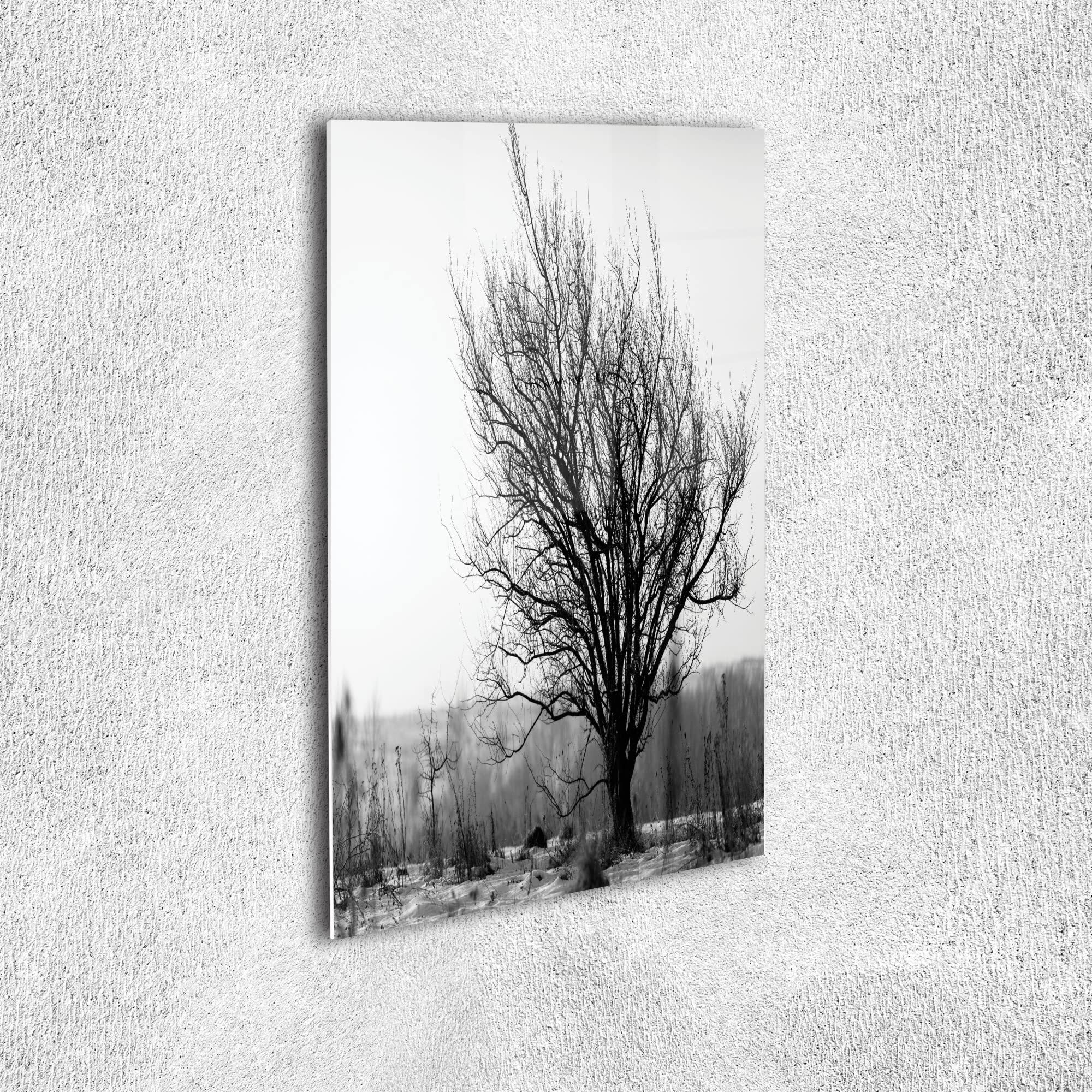 Ambesonne Black and White Tree Wall Art - Vintage Acrylic Glass Photo Print of Leafless Branches in Autumn, Nature Inspired Decor for Living Room, Bedroom & Dorm (19