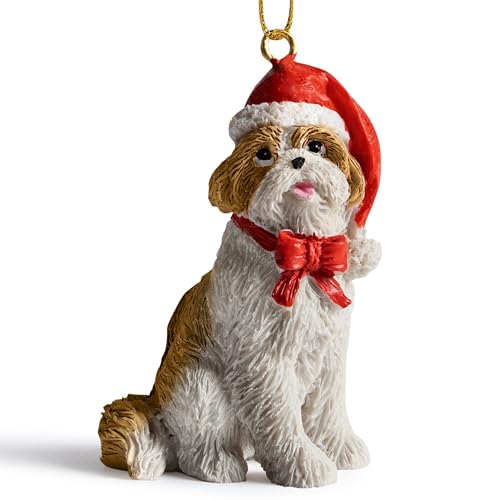 Brn/Wh Shih Tzu