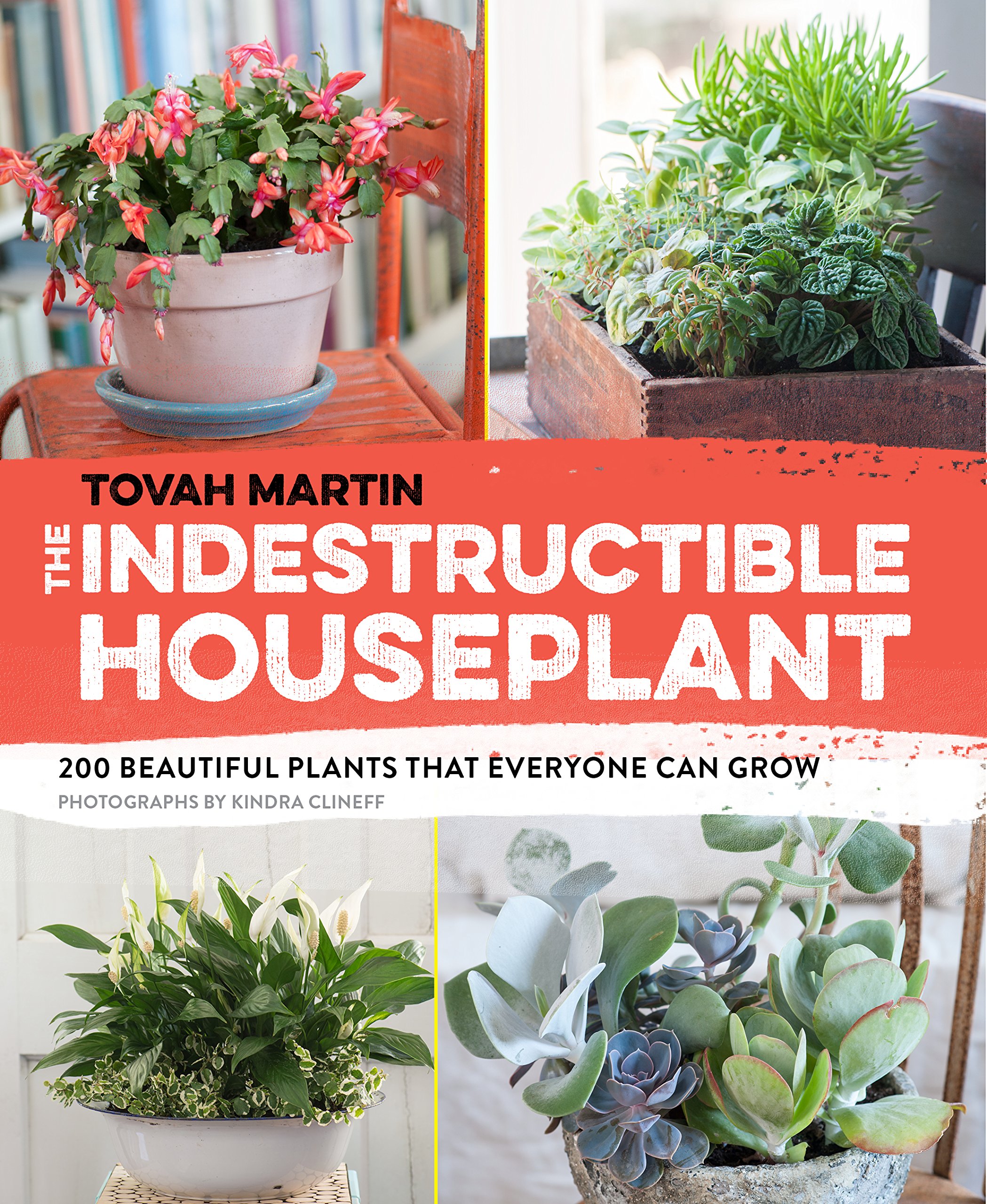 Indestructible Houseplants: 200 Beautiful Easy-to-Grow Indoor Plants for Beginners - Perfect for Home, Office & Low-Light Spaces