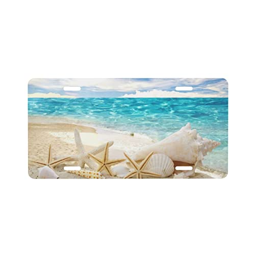 Sea Stars And Shells On Beach