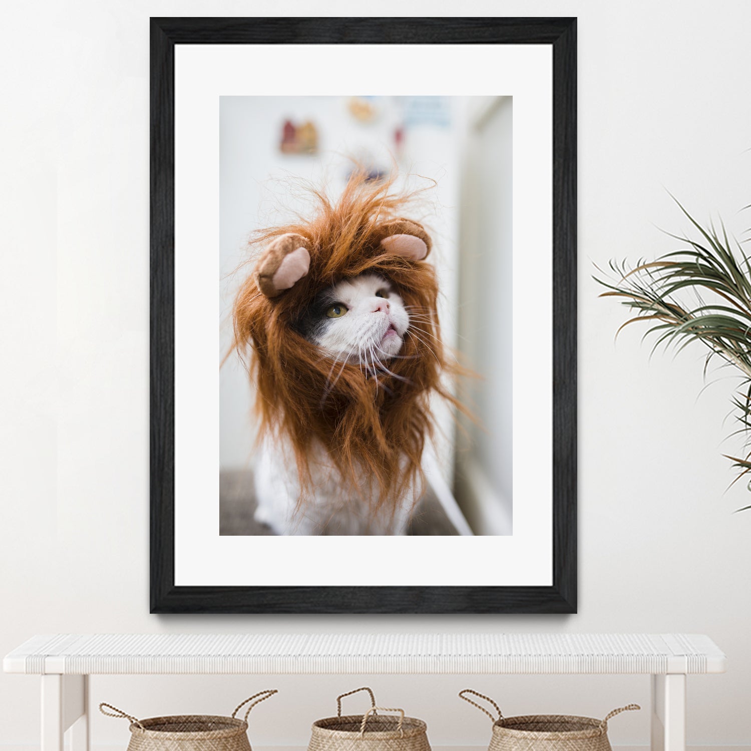 Premium Cat Lion Costume for Halloween & Cosplay - Fun Pet Outfit for Cats & Kittens - Perfect for Parties, Photo Shoots & Dress-Up Play