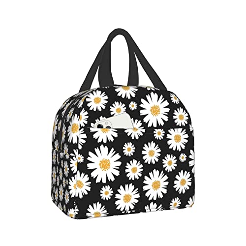 Daisy