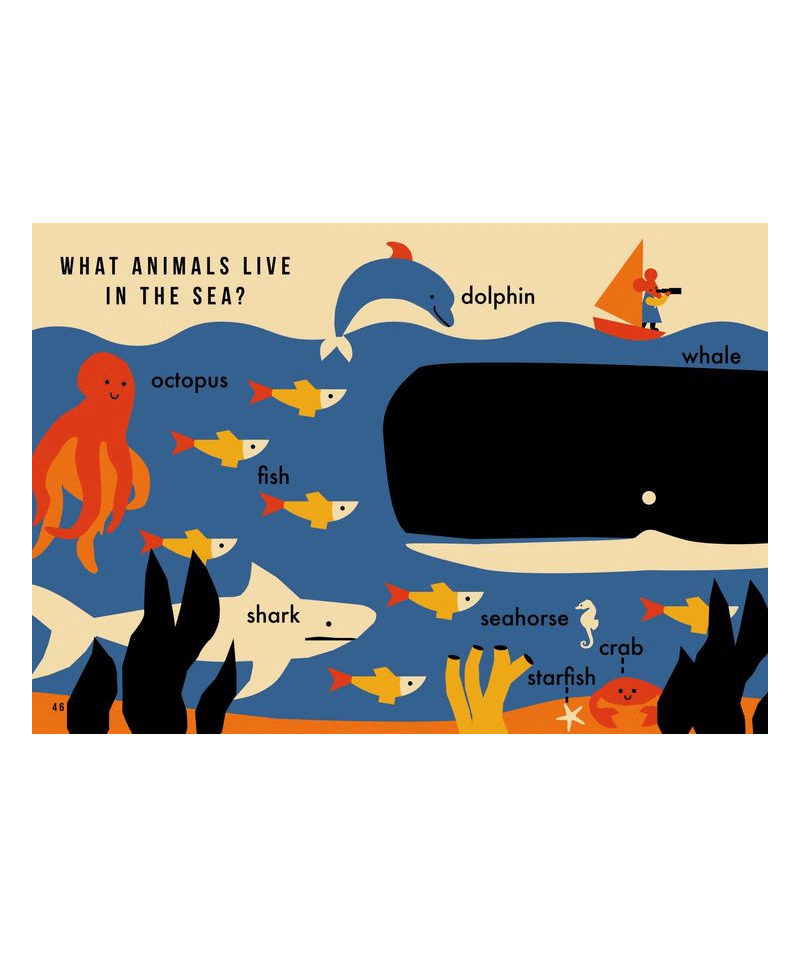 One Thousand Things by Anna Kovecses - Illustrated Children's Book for Early Learning & Vocabulary Development | Perfect for Bedtime Stories, Classroom Reading & Gift Giving