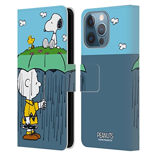 Charlie, Snoppy & Woodstock