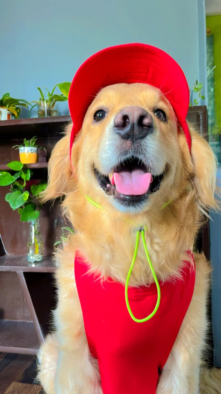 Red Baseball Cap for Men & Women - Adjustable Large Size | Perfect for Outdoor Sports, Hiking & Casual Wear