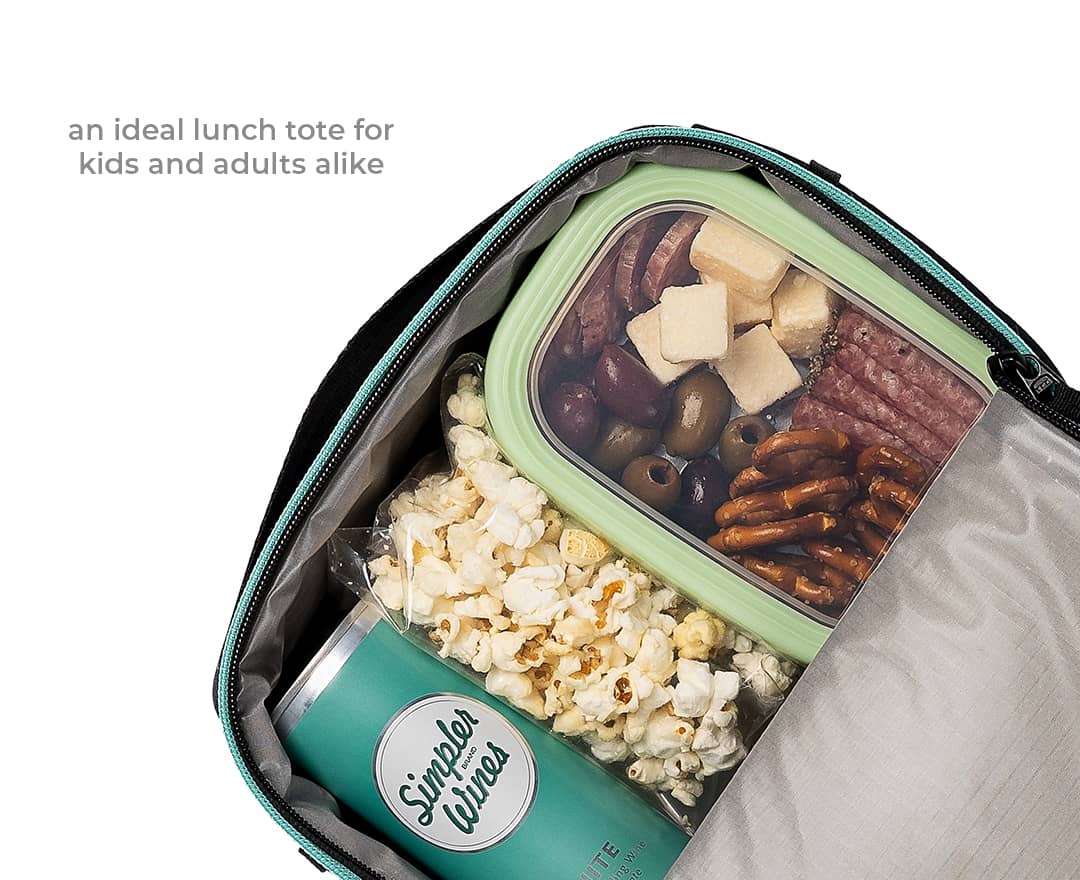 WAYB Ready to Roam Mini Cooler - Portable Insulated Lunch Box for Kids & Adults, Leakproof Picnic Cooler Bag for Beach, Camping & Road Trips (Onyx Black)