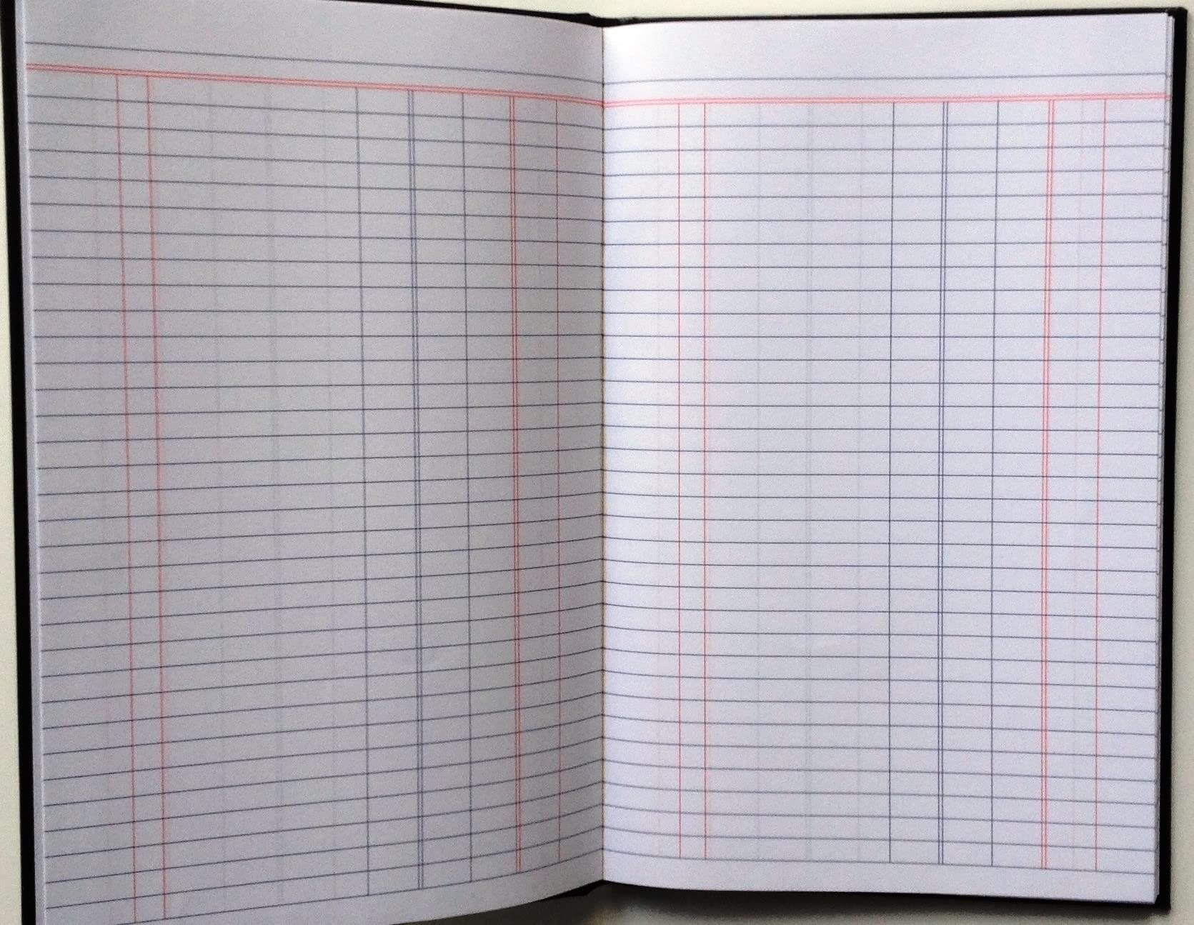 Mead Single Column Accounting Ledger Book - Small Business Cash Book for Bookkeeping, Expense Tracking & Financial Records - Perfect for Home Office, Small Business & Personal Finance Management