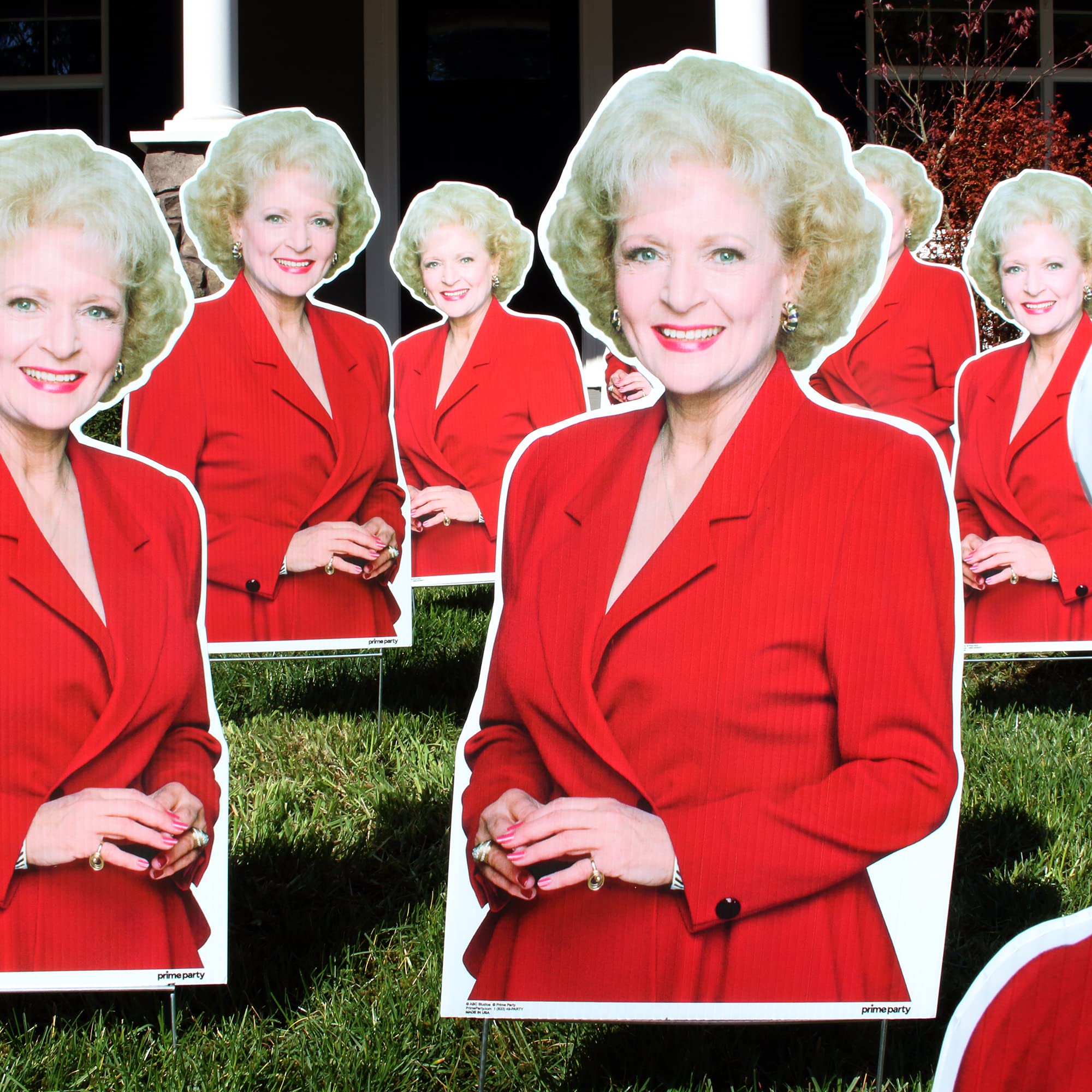 Funny Birthday Yard Signs - 15