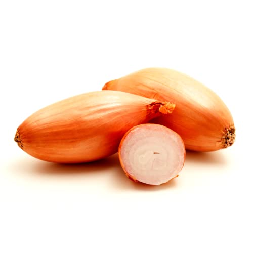 Zebrune Shallot