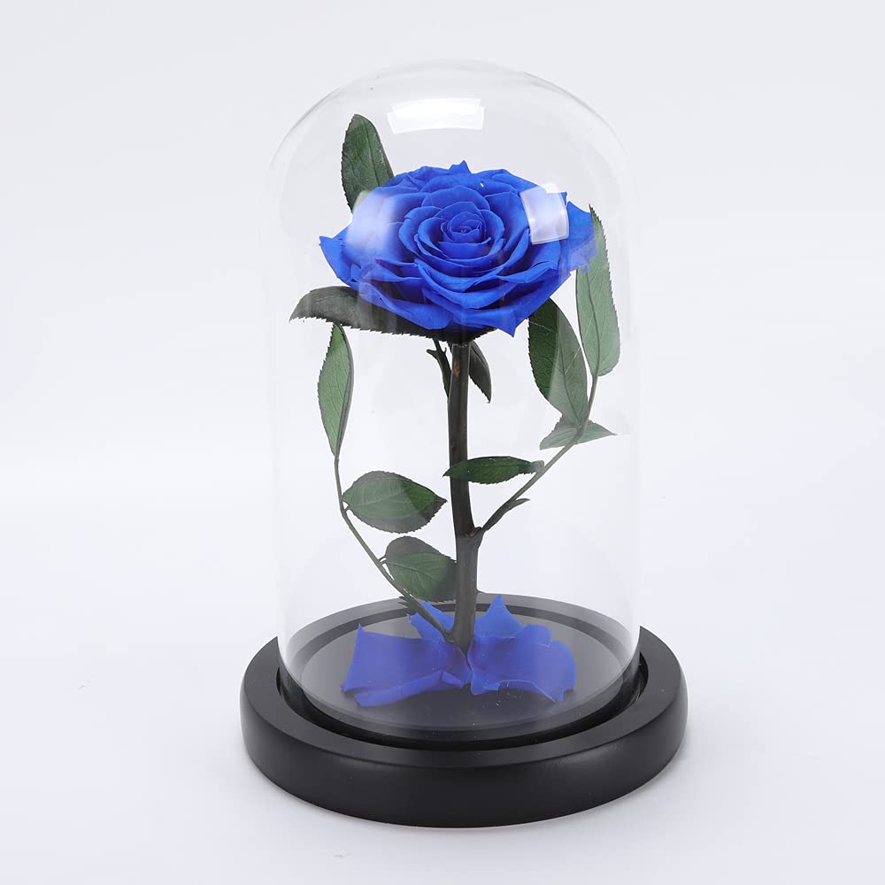 Eternal Preserved Light Blue Rose in Glass Dome - Romantic Forever Flower Gift for Friends & Family, Symbol of Pure Love - Perfect for Weddings, Anniversaries, Home Decor & Special Occasions