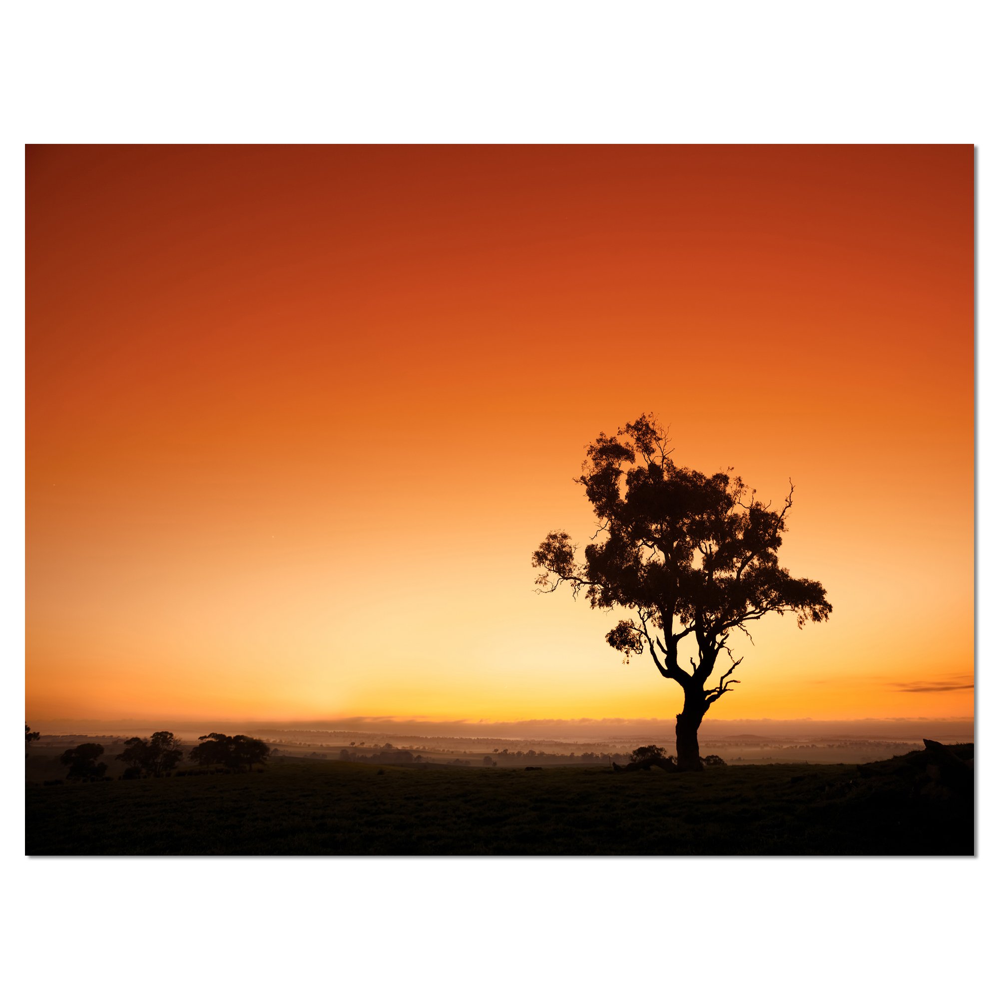 Extra Large Sunrise Landscape Wall Art with Lonely Tree - Modern Home Decor for Living Room, Bedroom & Office