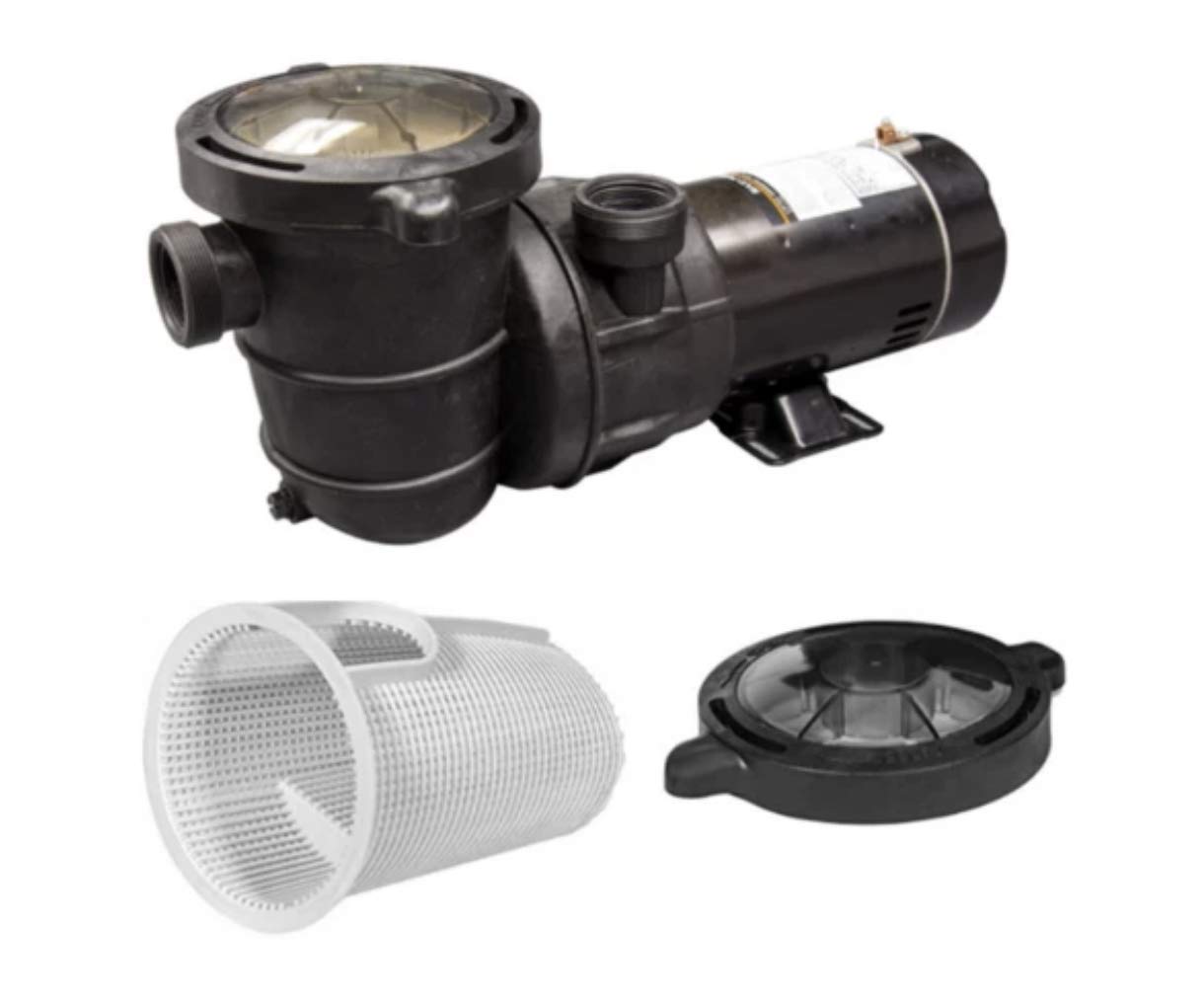 1 HP Blue Torrent Maxi Pump - Dual Port & Standard Plug - 2 Speed Adjustable Water Pump for Pools, Spas, and Fountains | High Performance & Energy Efficient
