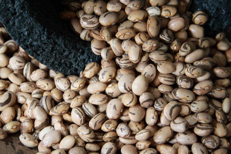Rancho Gordo Occhio Della Capra (Eye of the Goat) Beans - 1 lb Bag | Premium Heirloom Italian Beans for Soups, Stews & Authentic Pasta e Fagioli Recipes