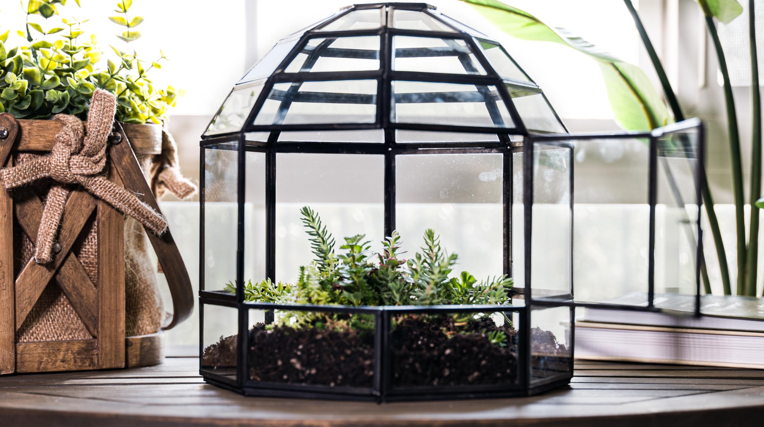Handmade Large Glass Terrarium for Birds & Plants - 10