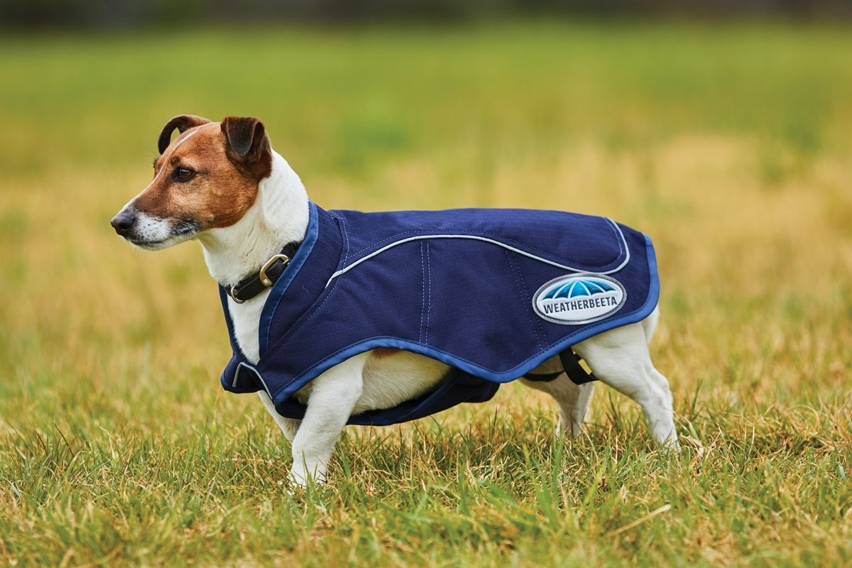 Weatherbeeta 1200D Durable Dog Coat for Small Dogs - Navy Blue, 14 Inch - Perfect for Outdoor Exercise, Walking & Cold Weather Protection
