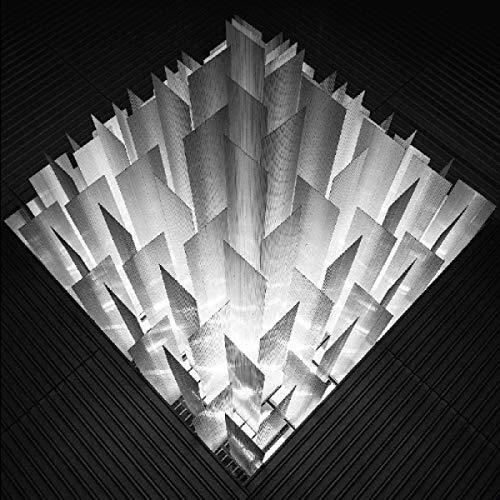 Altered Signals Vinyl LP - Limited Edition Record for Music Collectors & Audiophiles - Perfect for Home Listening & Vinyl Enthusiasts