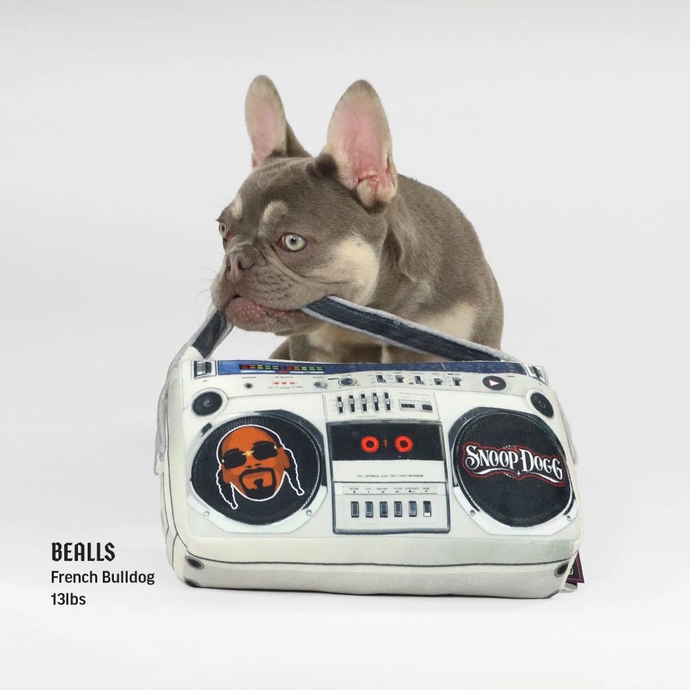 Premium Boom Box Interactive Pet Toy for Dogs & Cats - Fun Chew Toy for Playtime, Training & Anxiety Relief