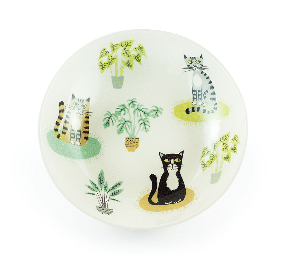 Handmade Ceramic Cat Pasta Bowl Set of 4 - Unique Cat-Themed Dinnerware for Pasta, Soup & Salad - Perfect for Cat Lovers & Gift Giving
