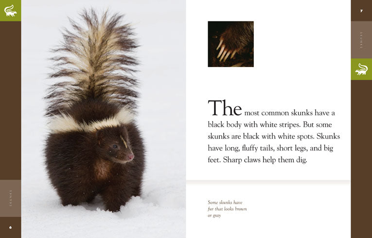 Amazing Animals (2014): Skunks - Fun & Educational Wildlife Documentary for Kids | Perfect for Homeschooling & Nature Learning
