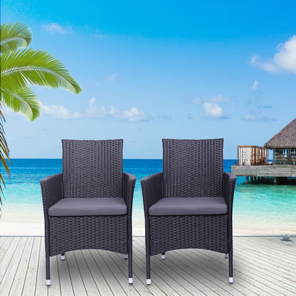 2-Piece Black Rattan Sofa Set with Single Backrest Chairs - Modern Contemporary Indoor/Outdoor Furniture for Patio, Living Room & Garden Decor