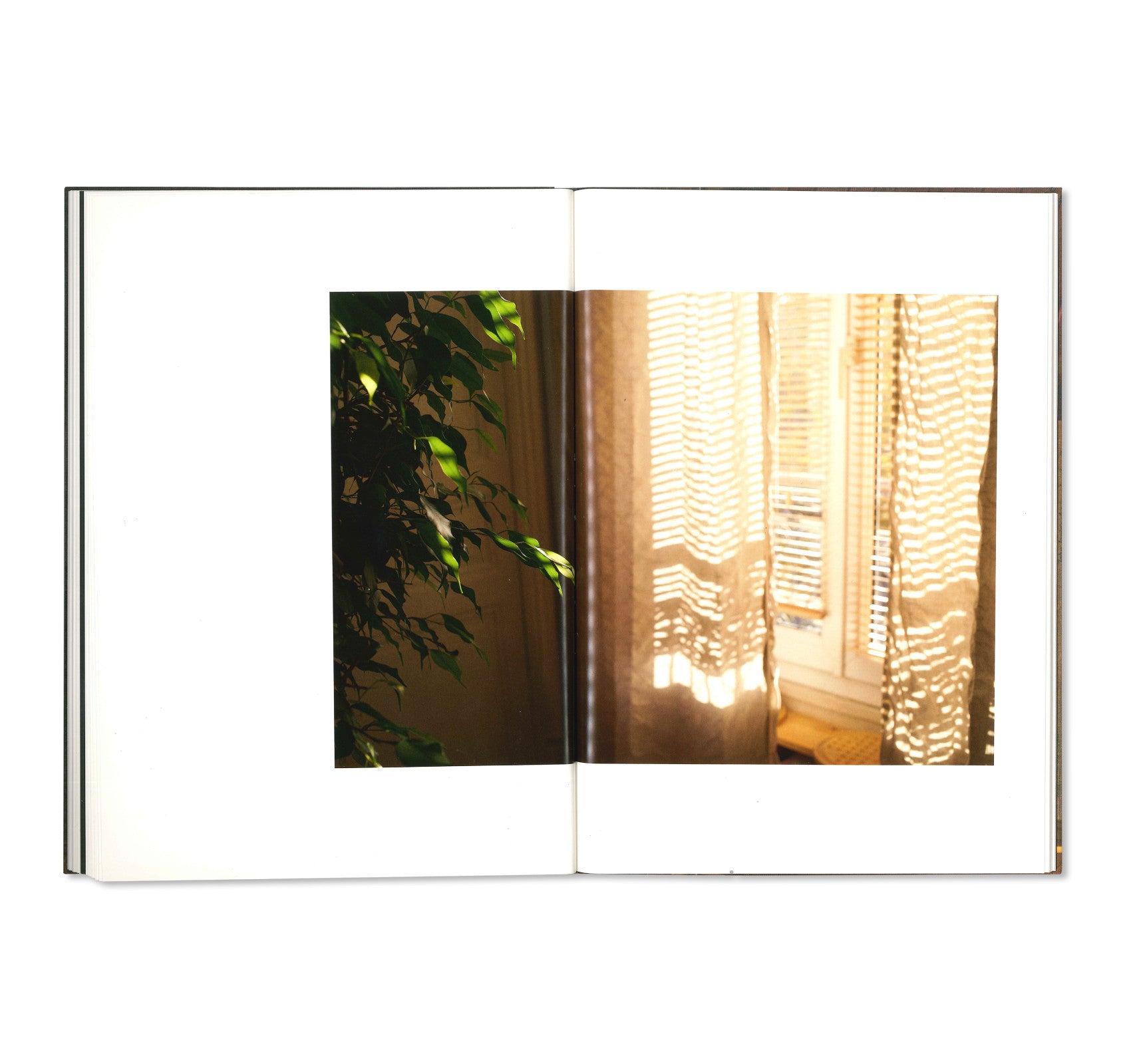 Paris November 11-15, 2015 Photography Book by Paul Graham - Perfect for Art Collectors & Photography Enthusiasts