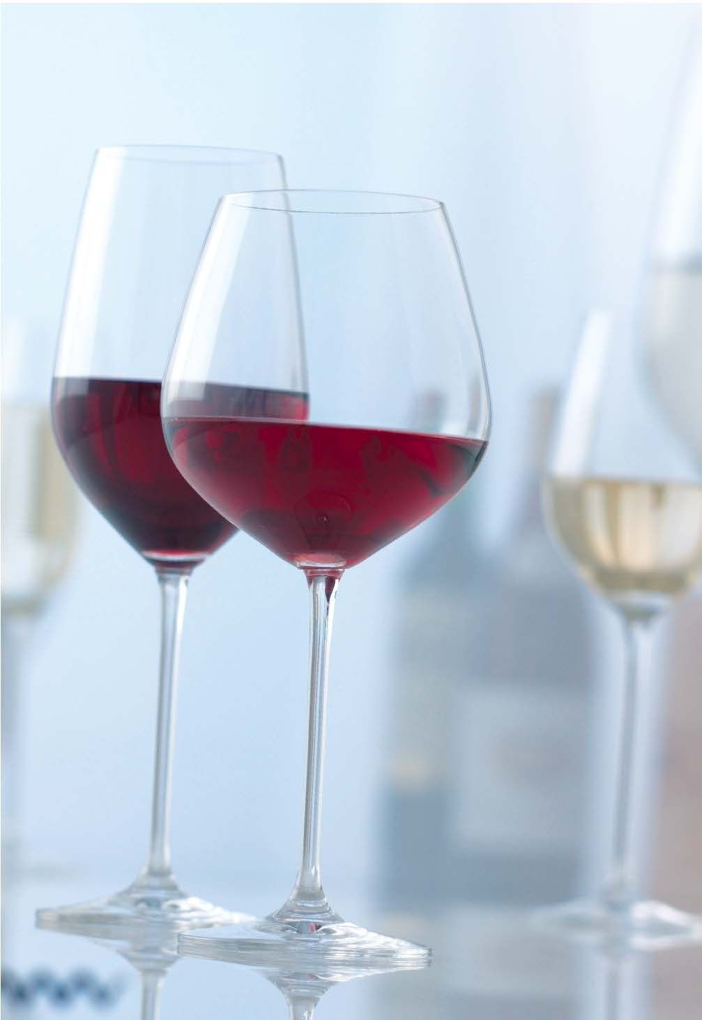 Premium SCHOTT ZWIESEL FORTISSIMO 112496 Burgundy Wine Glasses - Set of 6 (24.8 oz/727ml) - Crystal Clear Lead-Free Glass - Perfect for Red Wine Tasting, Dinner Parties & Elegant Home Entertaining