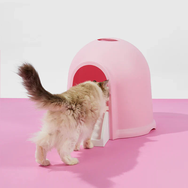 2 in 1 Kitty Litter Box & Cat House - Eco-Friendly Dual Use Litter Cabin with Odor Control - Perfect for Small Spaces & Stylish Home Decor