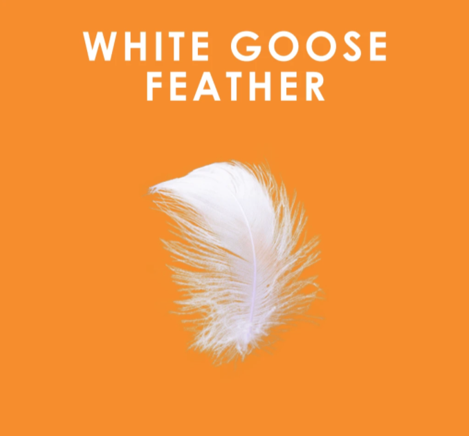 Premium White Goose Feather Duvet - All-Season Luxury Down Comforter for Bedroom - Soft & Hypoallergenic for Ultimate Comfort & Warmth - Perfect for Master Bedroom, Guest Room & Hotel Use