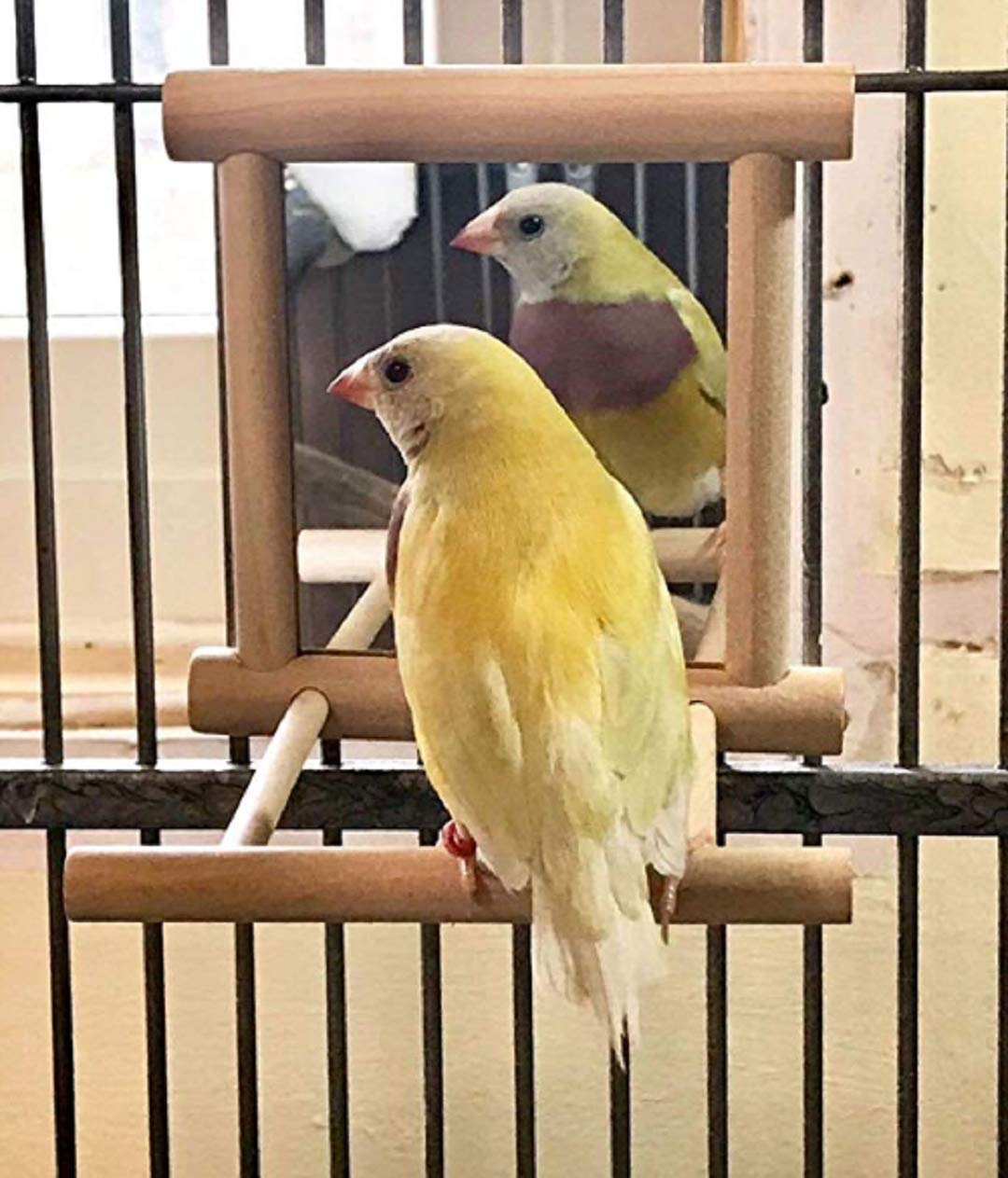 Colorful Parrot Swing with Mirror - Natural Wooden Bird Cage Toy with Metal Hook for Parrots, Cockatiels & Small Birds - Perfect for Playtime & Mental Stimulation