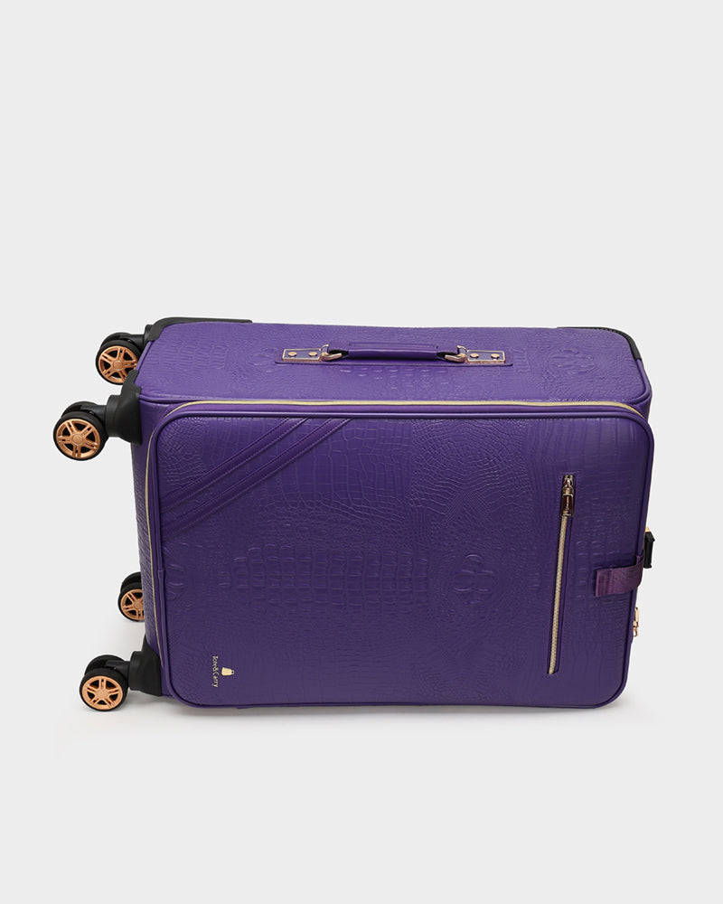 Apollo 2-Piece Luggage Set - 20